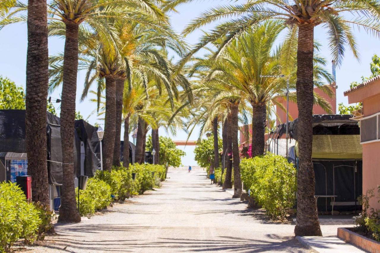 Camping Tres Estrellas Mediterraneo Xilxes  Eksteriør billede